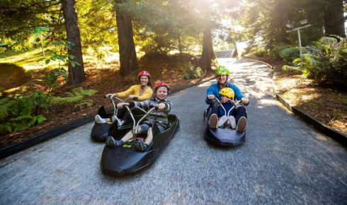 Flamingo Travels’ New Zealand Tour Packages